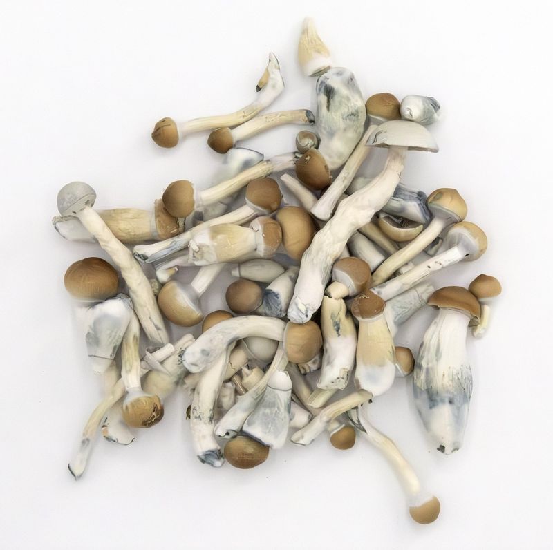 BLU BIJOU Lyophilized 5 gr.
