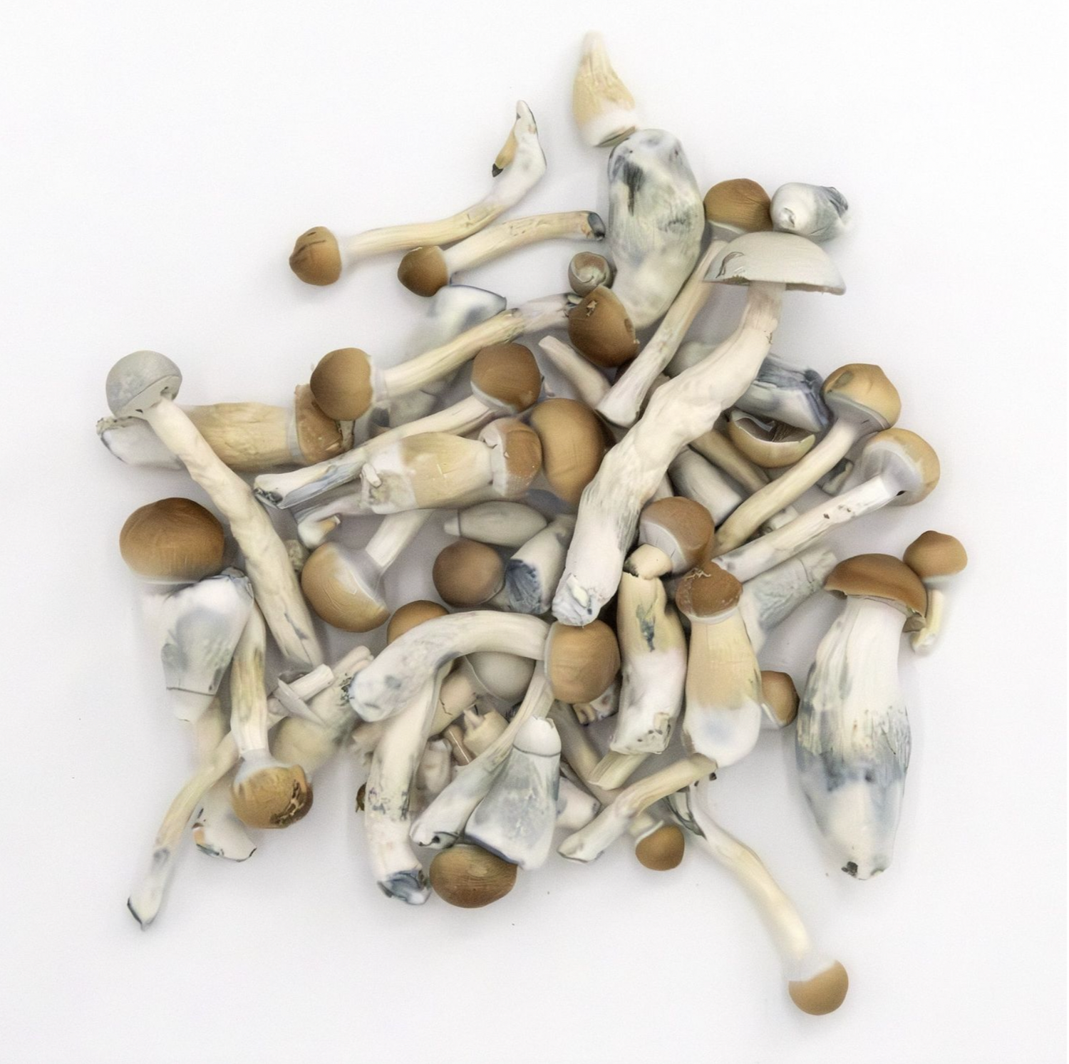 BLU BIJOU Lyophilized 7 gr.