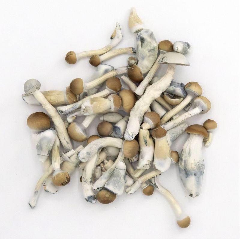 BLU BIJOU Lyophilized 7 gr.