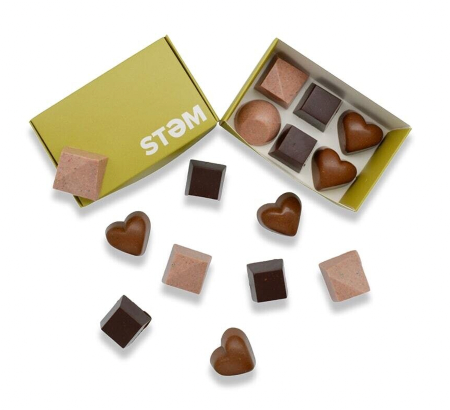 STEM 1/2 Gram Mushroom Chocolates (6 pack)