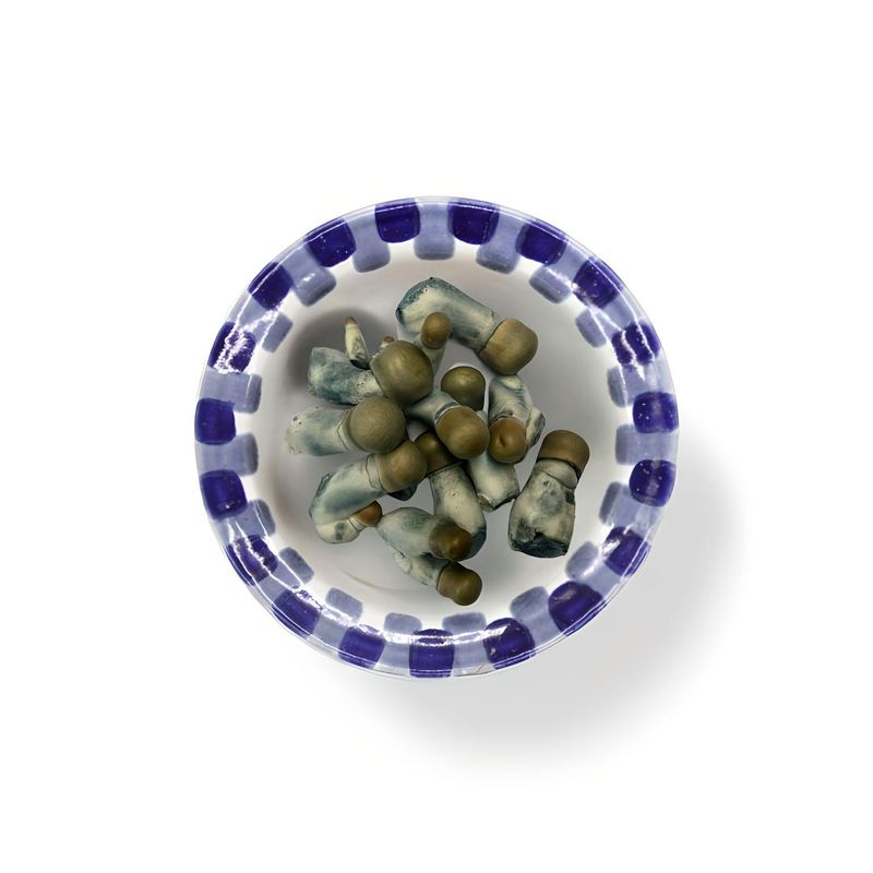 Lyophilized Blue Goba