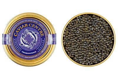 TRANSMONTANUS (WHITE) STURGEON CAVIAR