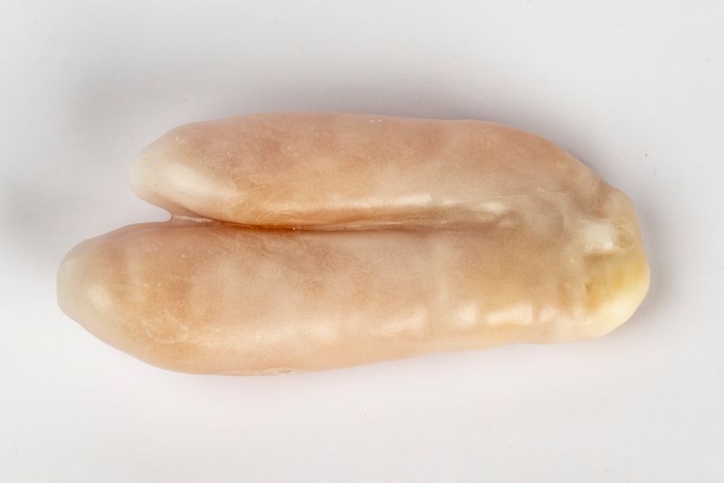 BOTTARGA