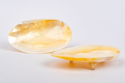 Mother of Pearl Caviar Serving Dish (4 CM)