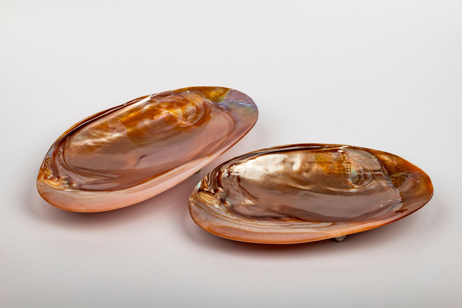 Mother of Pearl Caviar Server (18 CM)