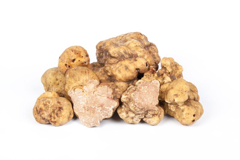 ALBA WHITE TRUFFLES