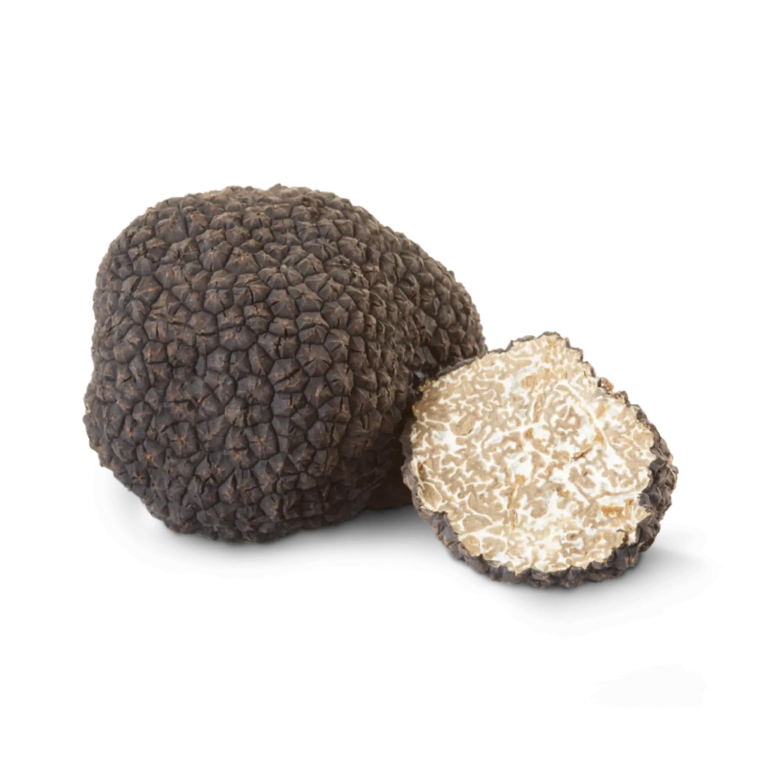 BLACK SUMMER TRUFFLES