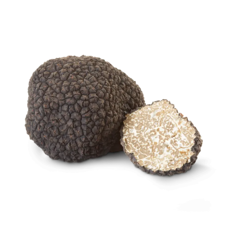 BLACK SUMMER TRUFFLES