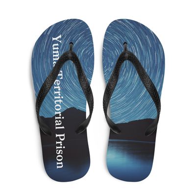 Starry Night Flip-Flops