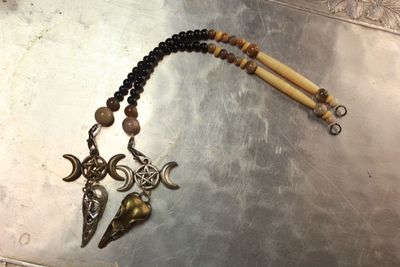 Bone and Petrified Wood