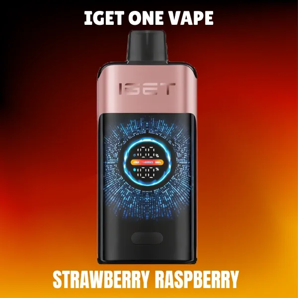 IGET ONE 12000 Puffs