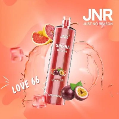 JNR ShiSha Love 66 12000 Puffs