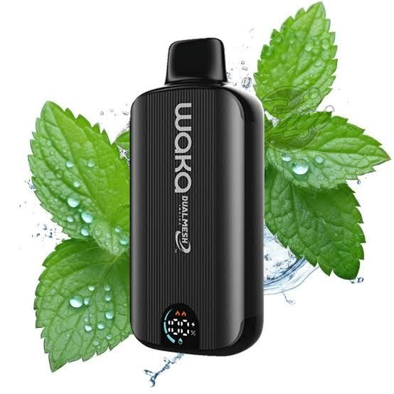 Waka 8000 Fresh Mint