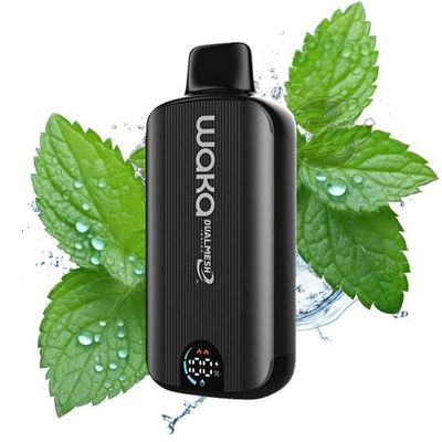 Waka 8000 Fresh Mint