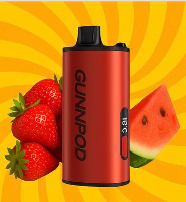 Gunnpod EVO Strawberry Watermelon Ice 15K