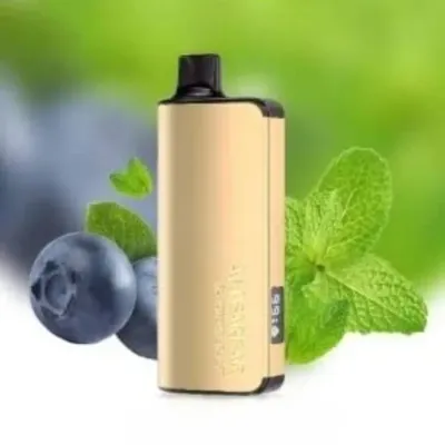 Alibarbar Ingot blueberry mint 9000