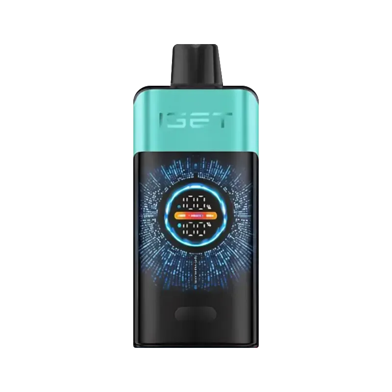 IGET ONE 12000 puffs - Mountain Spring Mint Ice