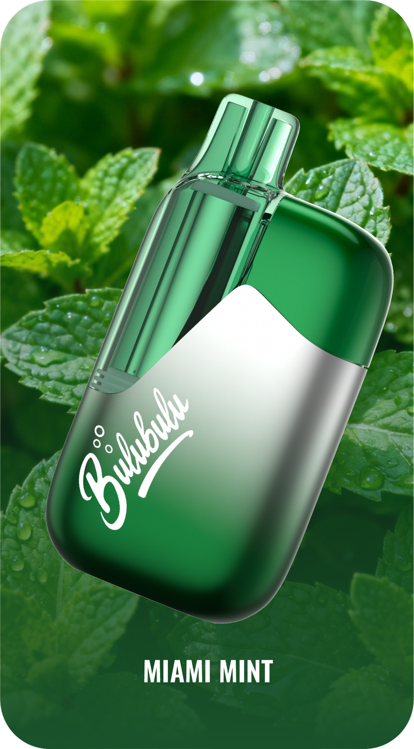 BULUBULU 12000/15000 PUFFS - MIAMI MINT