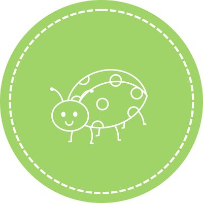 Insects