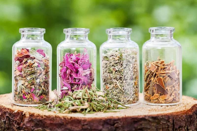 Kräutertee دمنوش های گیاهی