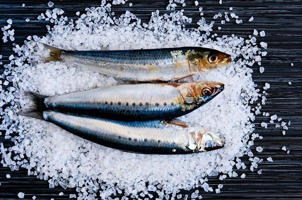 Tiefkühlfisch ماهی منجمد