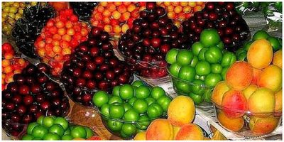 Obst  میوه
