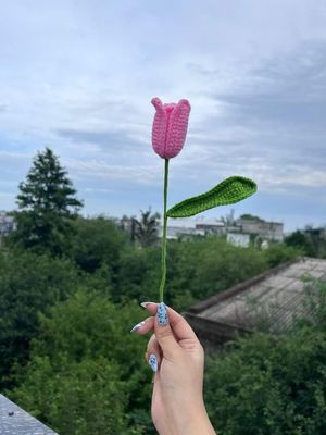 Open Tulips