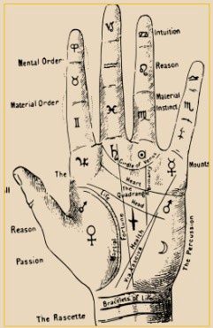 Palmistry 101