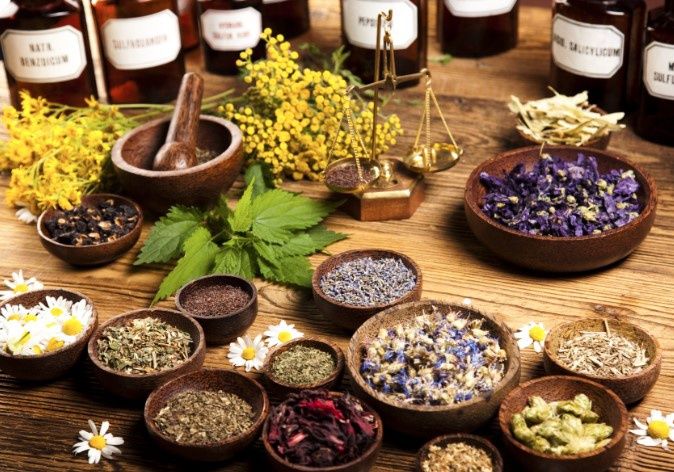 The Magus Herbal Program Year 1