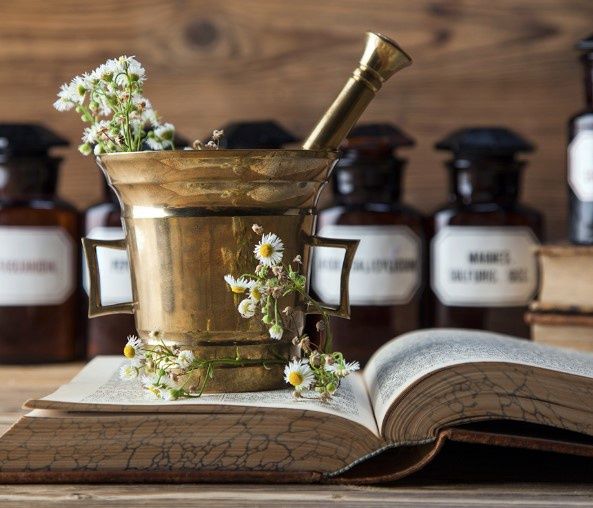 Magus Herbal Program Year 2