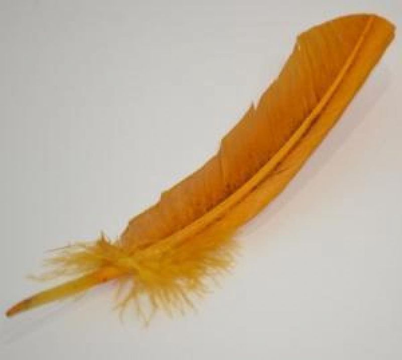 Golden Brown feather