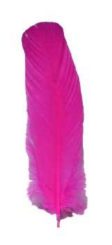 Pink Feather