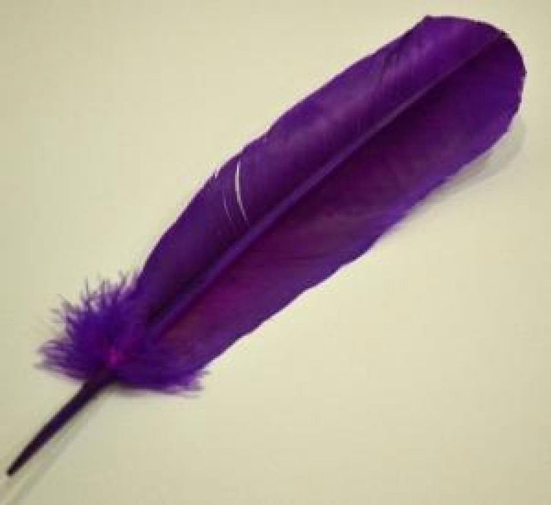 Purple feather