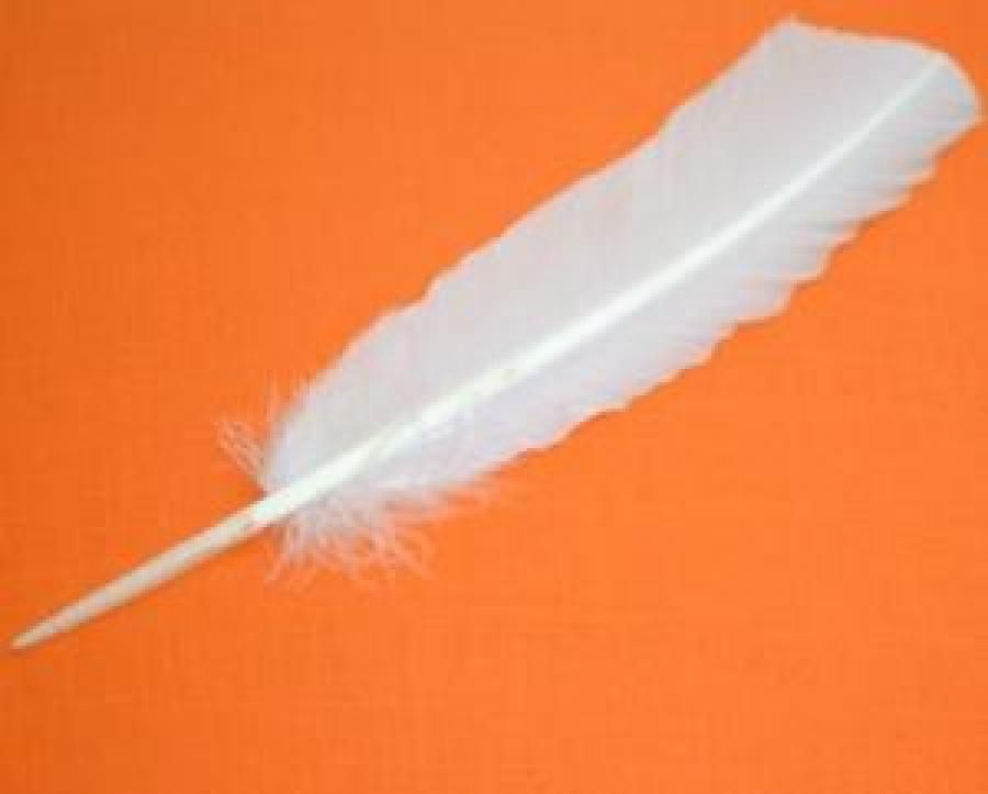 White Feather
