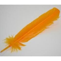 Yellow Feather