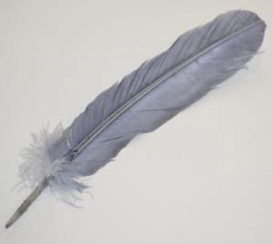 Silver Gray feather