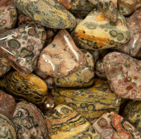 Leopard Skin Jasper, Tumbled, 1 ounce