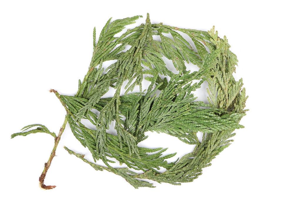 Cedar Leaf, Whole, 1 ounce