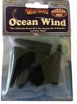 Ocean Wind Backflow Cone Incense