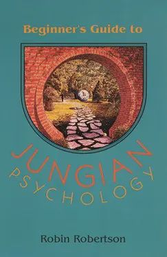 Beginner&#39;s Guide to Jungian Psychology