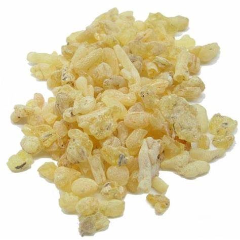 Sandarac Gum Resin, 1 ounce