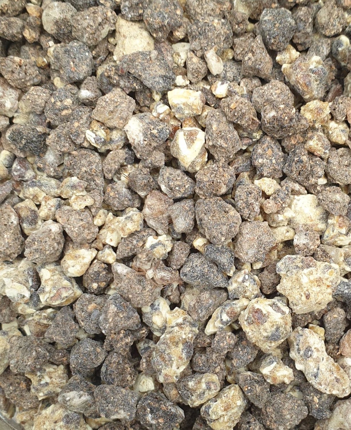 &quot;Sumatran&quot; Benzoin Gum Resin, 1 ounce