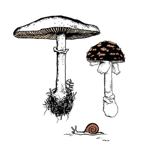 Fungi Garden Trio Tattoo pair