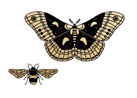 Winged Duo Tattoo Pair