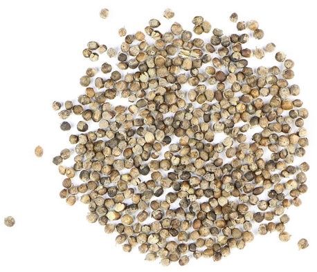 Agnus Castus, Whole Berry, Organic, 1 ounce