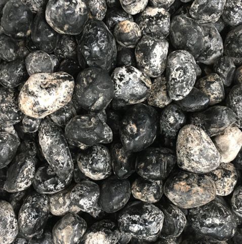 Apache Tear, Tumbled, 1 ounce