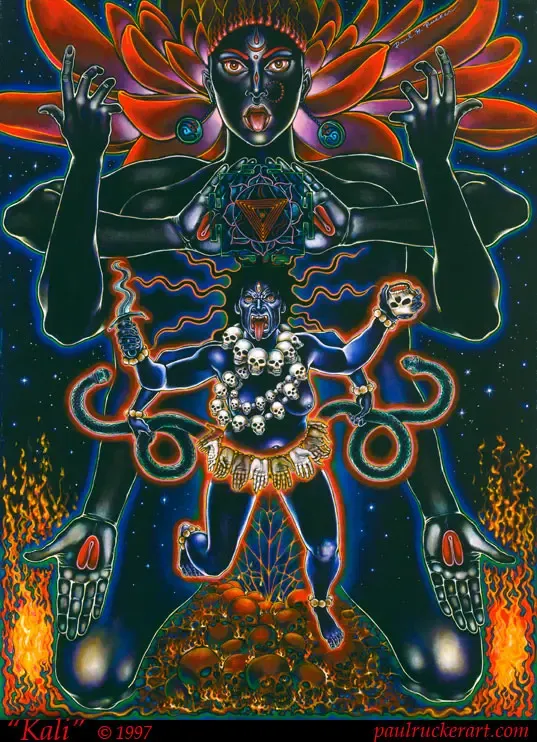Kali Print - Medium