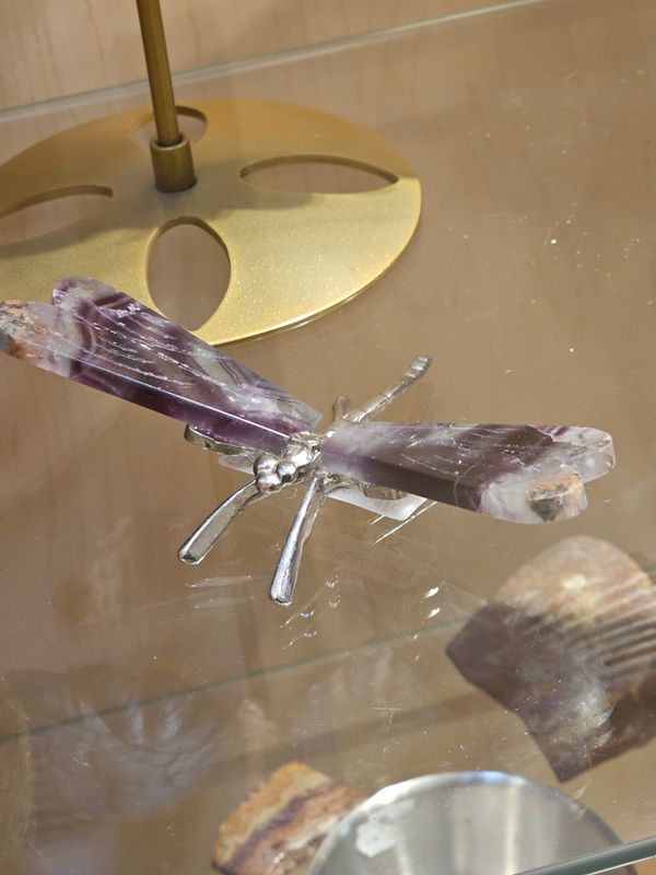 Fluorite Winged Dragonfly