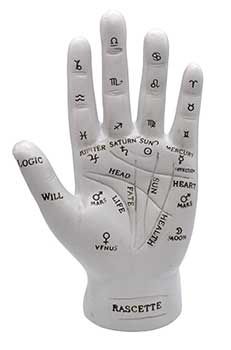 7 inch Palmistry Hand