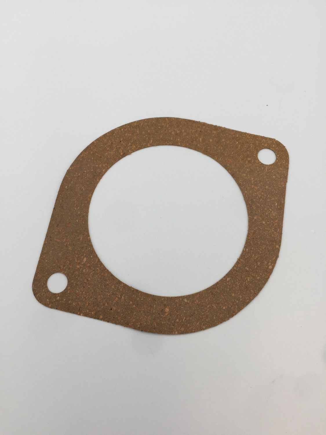 410900 - Electric Motor Gasket